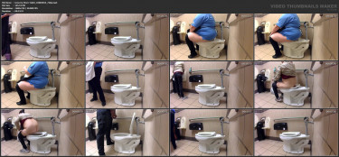 Grocery Store Toilet_10083010_720p.mp4.jpg