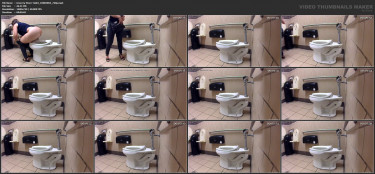 Grocery Store Toilet_10083066_720p.mp4.jpg