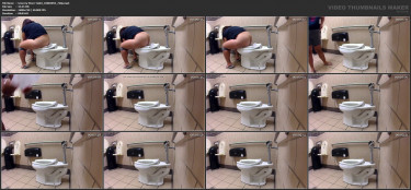 Grocery Store Toilet_10083094_720p.mp4.jpg