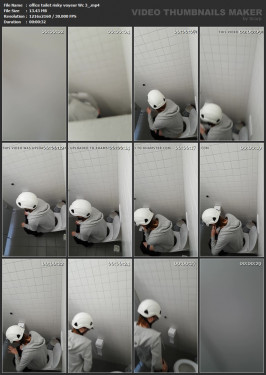 office toilet risky voyeur Wc 3_.mp4.jpg