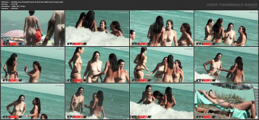 Rudefly.com ot brunette bares it all to the nudist beach voyeur.mp4.jpg