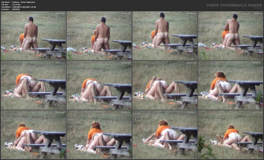 Parksex - Picnic Table.wmv.jpg