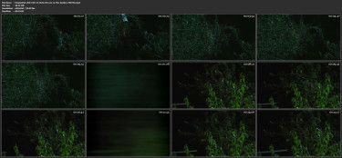 UtopiaUSA-2014-09-14-Chris-Bri-sex-in-the-bushes-EDITED.mp4.jpg
