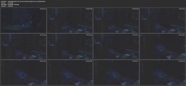 UtopiaUSA-2014-10-21-4am-Chris-Bri-undercover-sex-EDITED.mp4.jpg